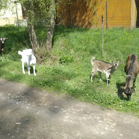 Dagmar Hébergement de vacances Liptovský Mikuláš