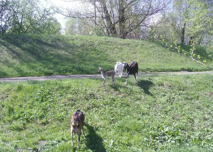 Dagmar Liptovský Mikuláš